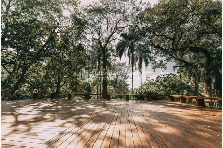 Imagem Chácara à venda, 68000 m² por R$ 7.600.000,00 - Zona Rural - Mirassol/SP