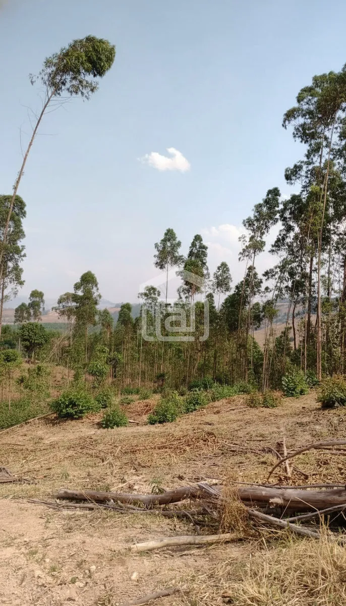 Imagem Sítio 24 m² à venda em Pocinhos do Rio Verde, Caldas