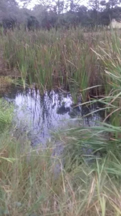 Imagem Terreno excelente a venda para Chácara com 8 mil m² no asfalto - em Quadra