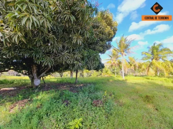 Imagem FAZENDA EM MATA DE SÃO JOÃO
