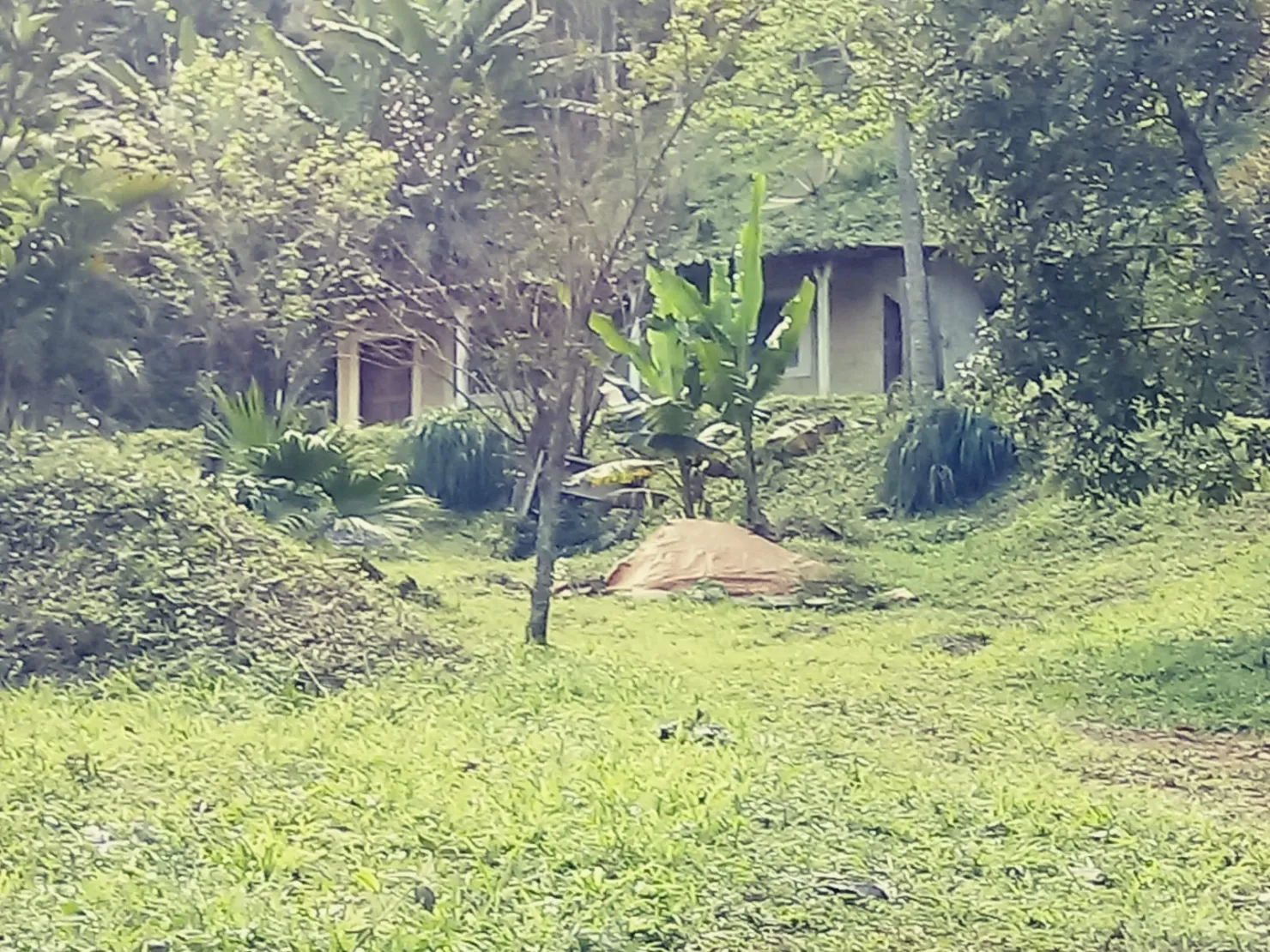 Imagem Chácara à venda 2 Quartos, 4 Vagas, 26000M², Bairro das Oliveiras, Pindamonhangaba - SP