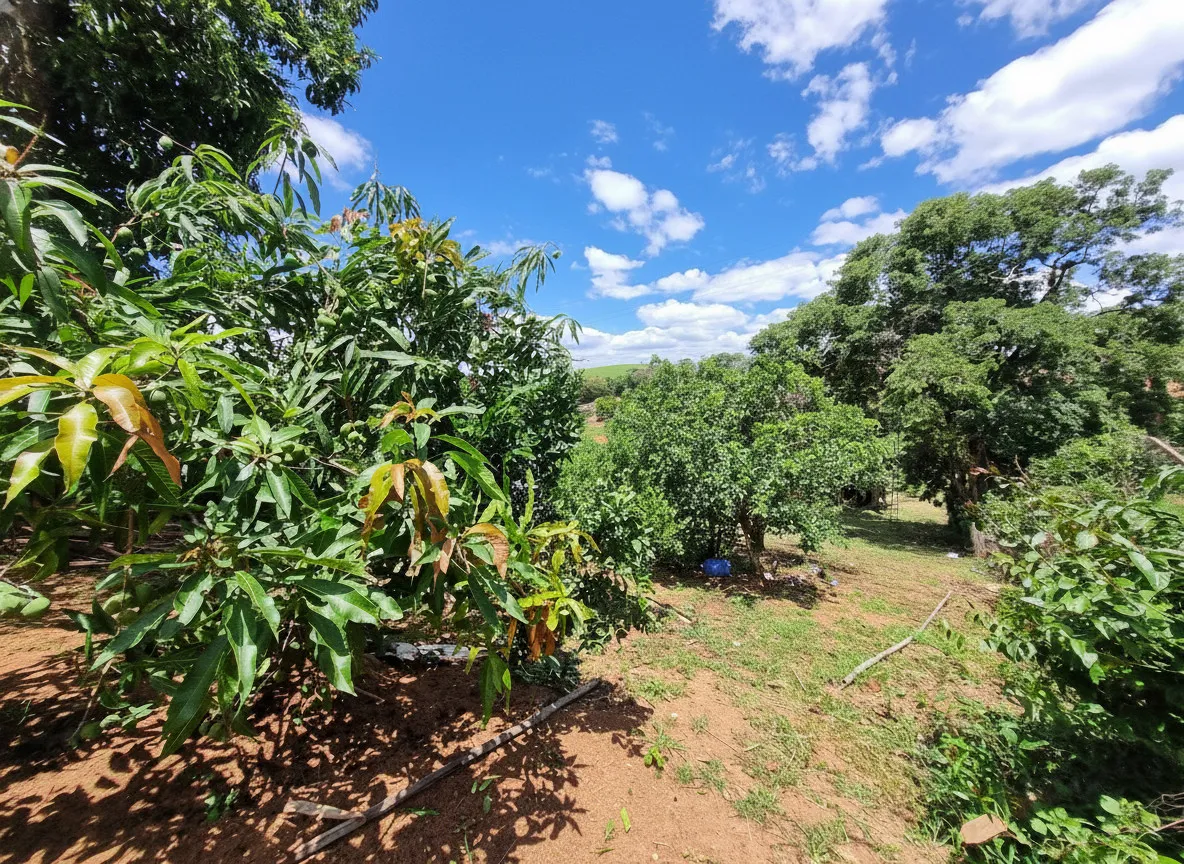 Imagem Chácara 80 m² à venda em Cruzeiro da Serra, Poços de Caldas