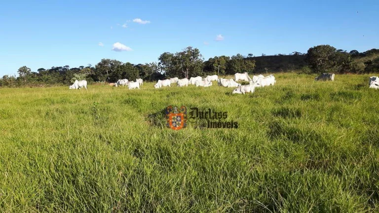 Imagem Fazenda à venda, 1370ha m² por R$ 14.200.000 - Zona Rural - Arinos/MG