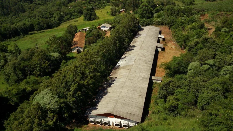 Imagem Área Agrícola para Venda em Ipumirim, Rural