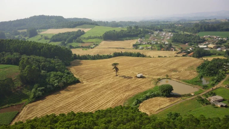 Imagem Área Agrícola para Venda em Concórdia, Tamanduá