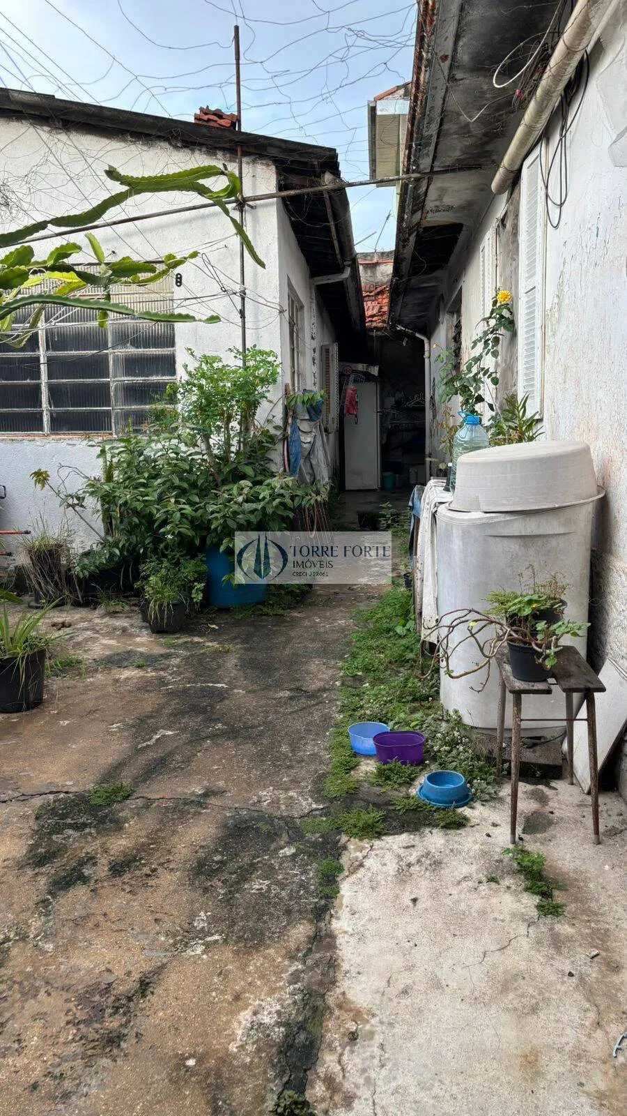 Imagem Terreno na Vila Antonieta Oportunidade