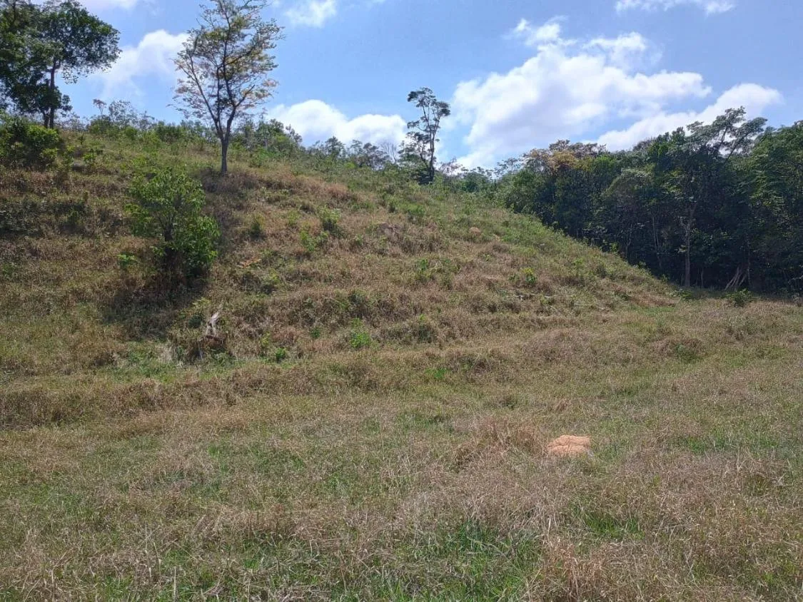 Imagem Sítio à venda em Itaguara/MG ,com 50.000 m² de terra