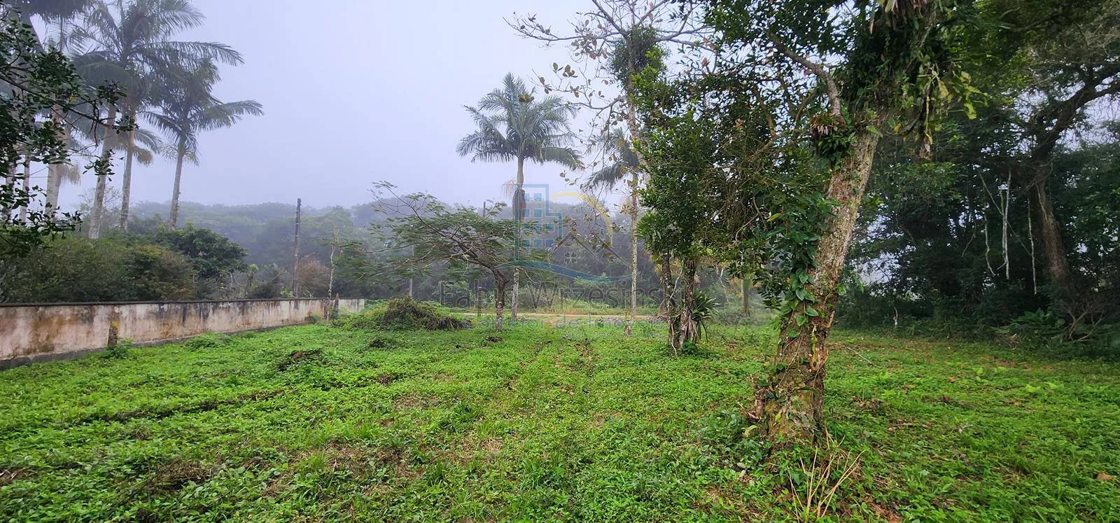Imagem Vendo Terreno com casa de madeira Praia do Erwino