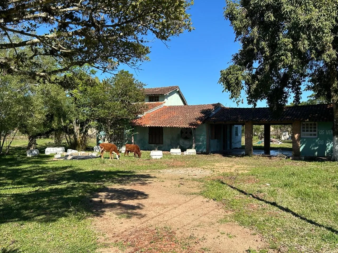 Foto do Imóvel