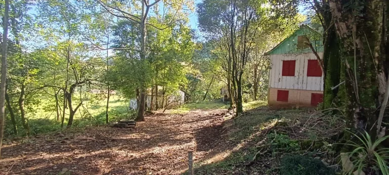 Imagem Área Agrícola para Venda em Arabuta, Sc-154