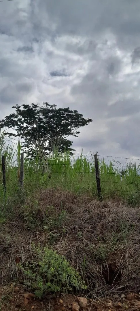 Imagem Área à venda, 17000 m² por R$ 1.530.000 - Estância Jockey Clube - São José do Rio Preto/SP
