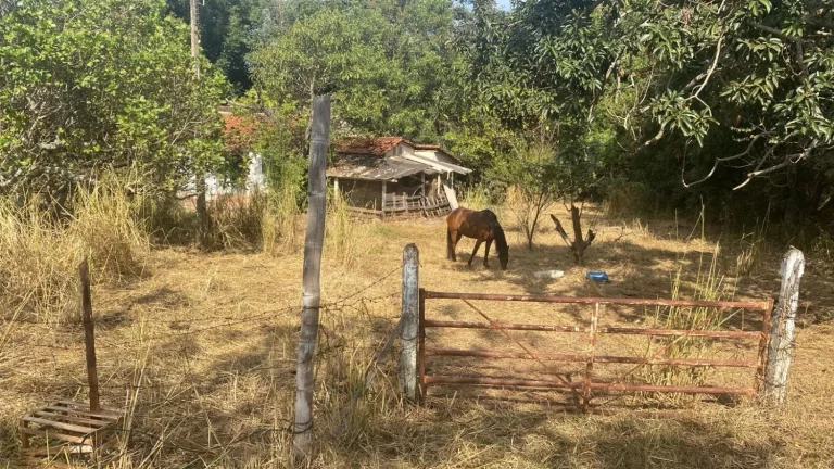 Imagem SÍTIO A VENDA EM ENGENHEIRO SCHIMIDT