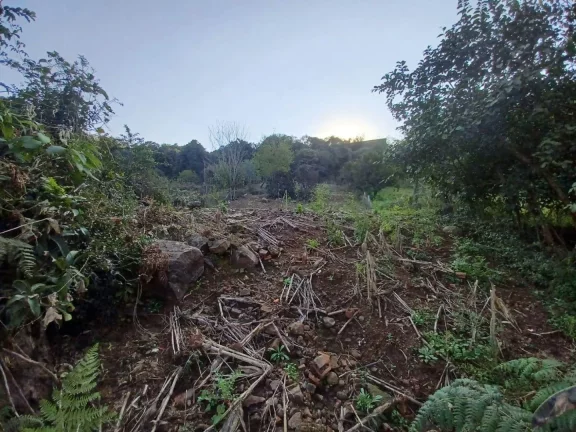 Imagem Terreno para Venda em Concórdia, Santa Cruz