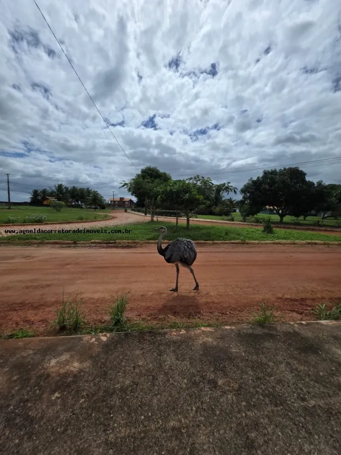 Imagem Casa em Condomínio para Venda, Área Rural de Macaíba, 2 dormitórios, 2 suítes, 3 banheiros, 4 vagas