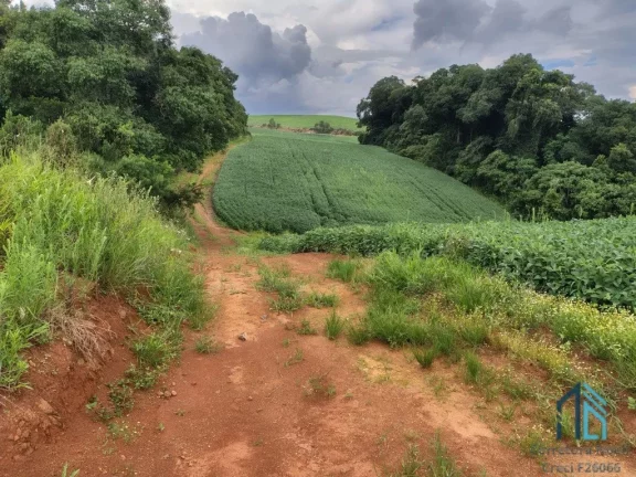 Imagem Terreno com 9,2 Alqueires, área verde ideal para plantio ou construção, em Campo Largo PR