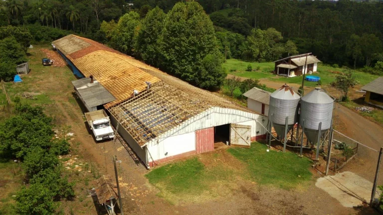 Imagem Área Agrícola para Venda em Concórdia, Interior