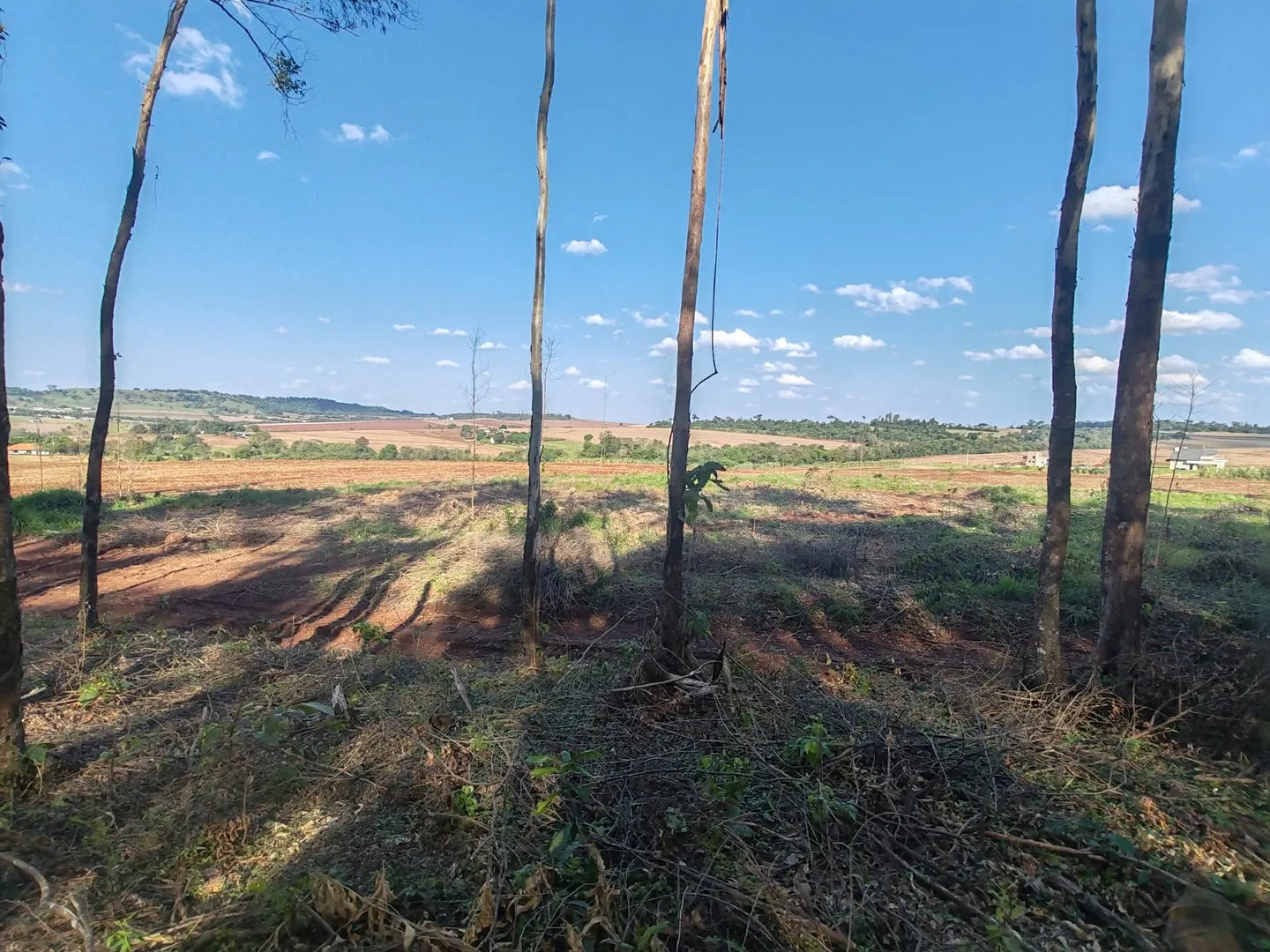 Imagem Chácara com 25.945 m² à venda em São Miguel do Iguaçu