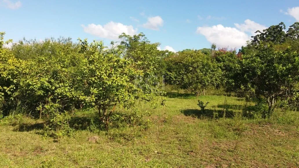 Imagem Terreno para Venda - 0m², 0 dormitórios, Boa Vista do Sul