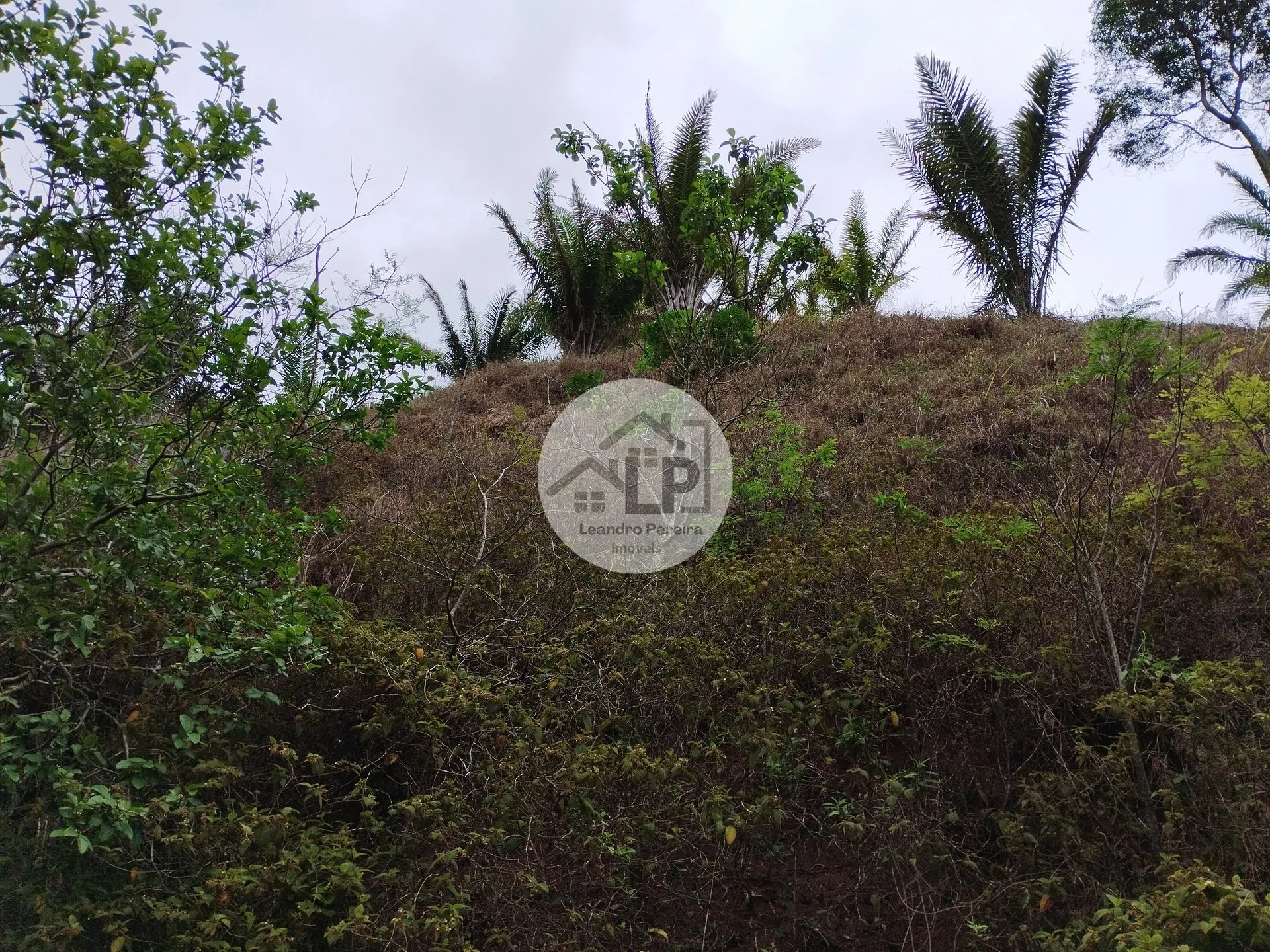 Imagem Lote/Terreno de 1460m² no bairro Caiçara, em Piraí