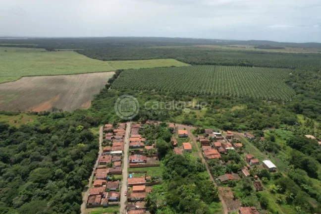 Imagem Área à Venda - Nísia Floresta / RN - 12,1 Ha