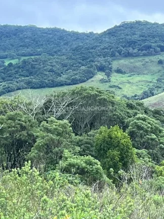 Imagem fazenda a venda