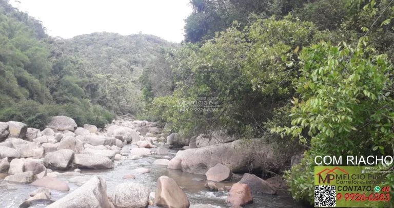 Imagem SÍTIO a VENDA, com 4.000m², com ESCRITURA, no bairro S. Valentim em Nova Trento. Com beira uma rio, de Nova Trento, podendo fazer trilha ecológica