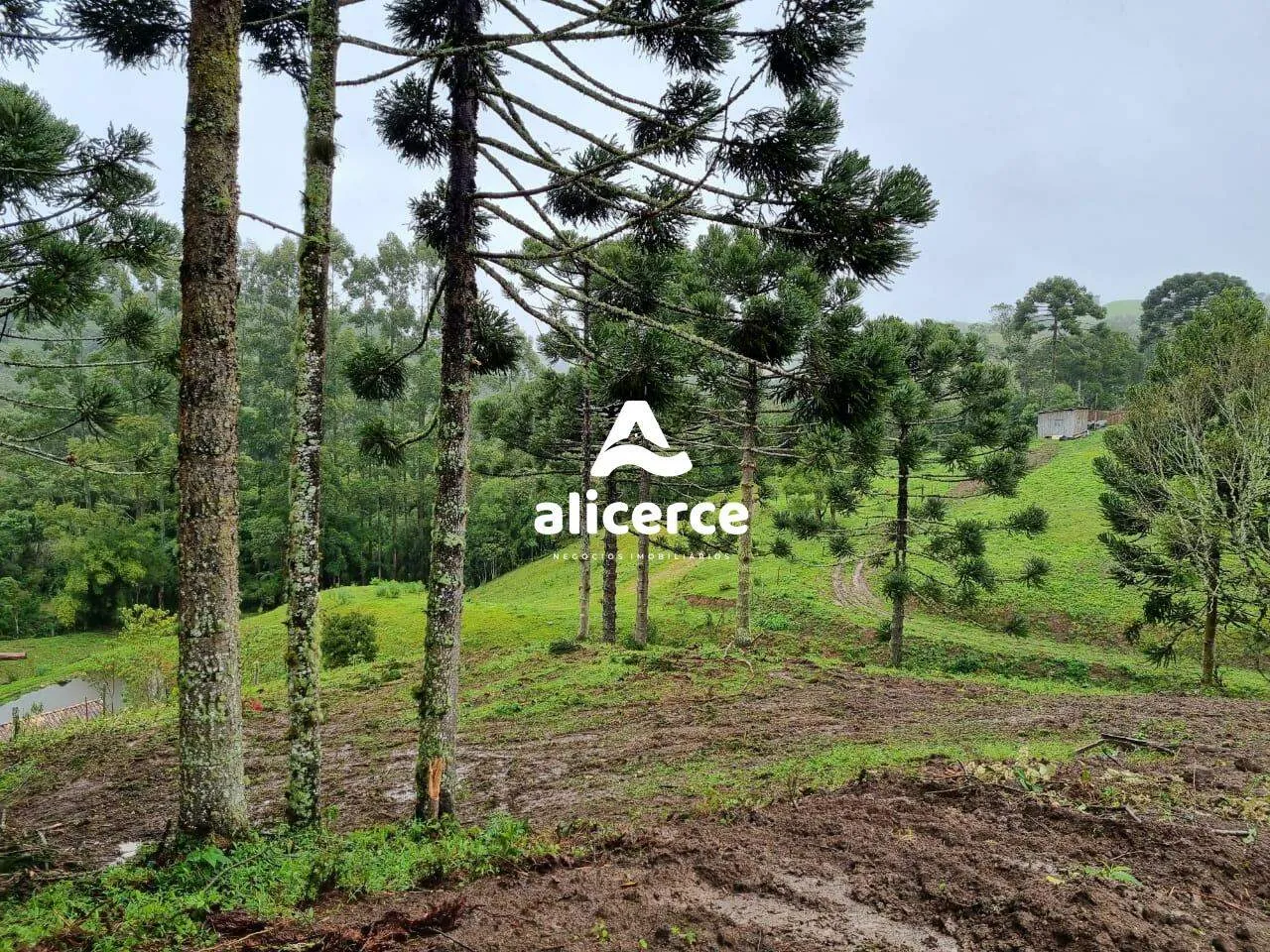Imagem Terreno à venda com , 30.000m² em Vargedo Rancho Queimado