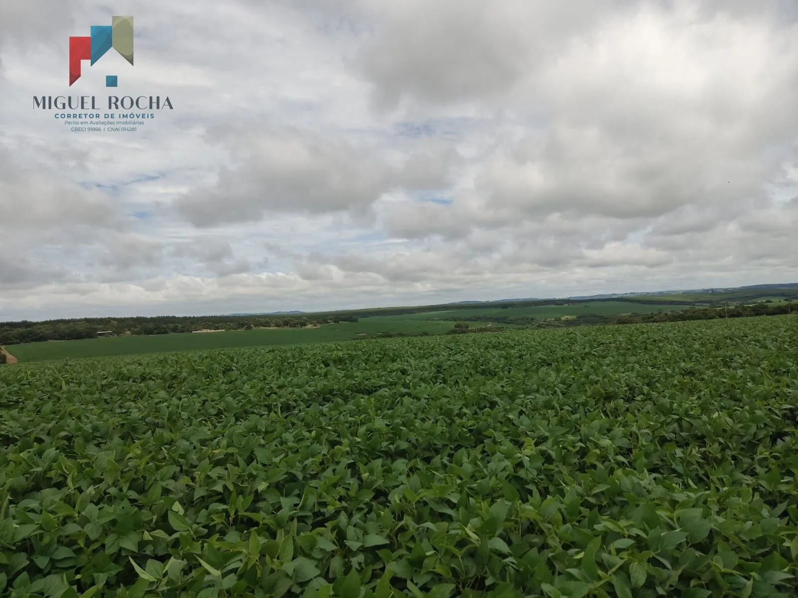 Foto do imóvel Fazenda região Itapetininga SP em Rua Silva Jardim