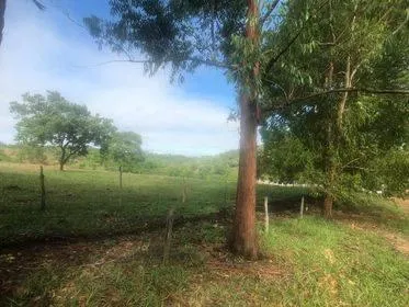 Imagem Excelente Fazenda em Funilândia/MG 112 hectares de terra