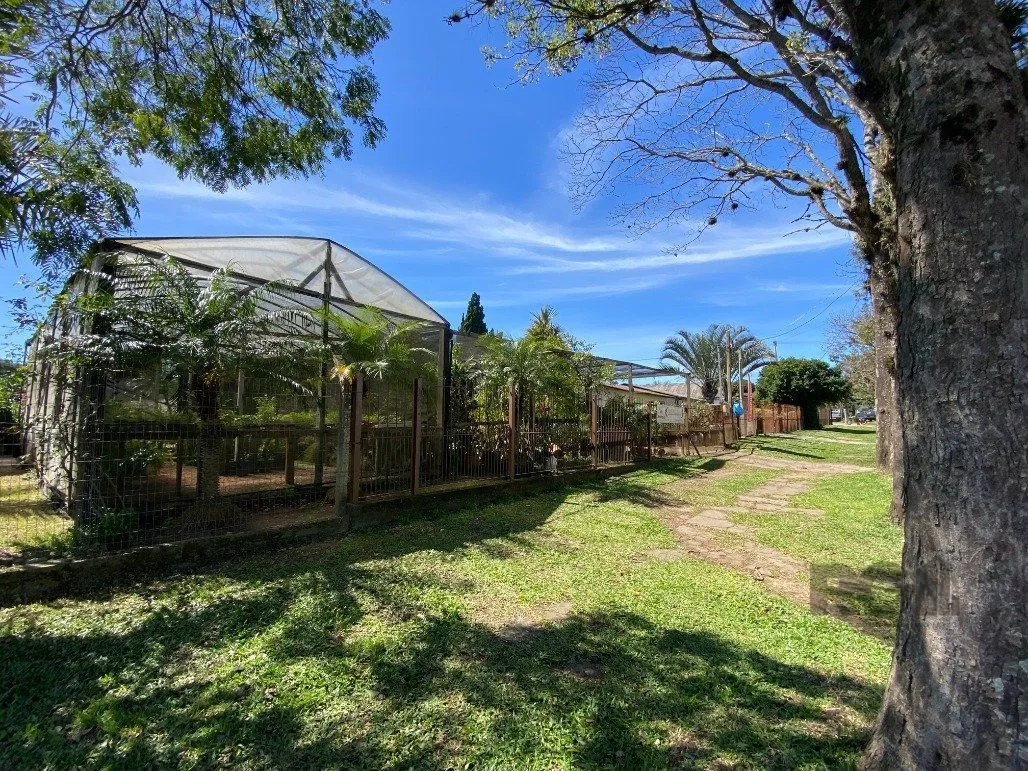 Imagem Pavilhão em Restinga