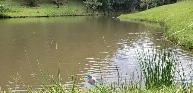 Imagem Chácara à venda, com 144.000m² com Plantas frutíferas, espaço gramado, 3 lagos com nascentes, Casa com 4 Dorm, lareira e muito mais - Embu-Guaçu, SP