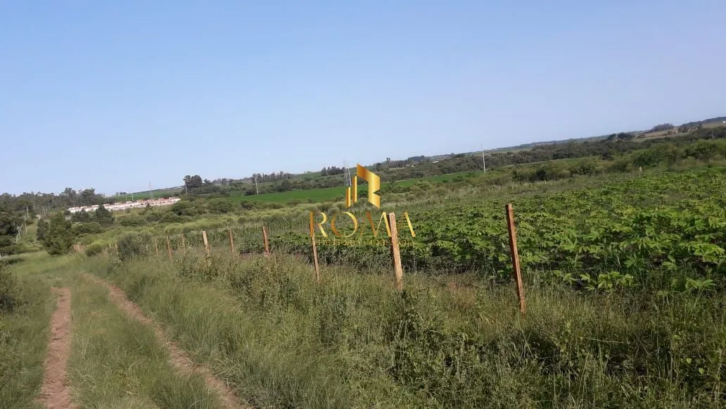 Imagem Terreno à venda Diácono João Luiz Pozzobon Santa Maria/RS