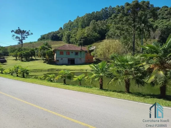 Imagem Terreno a venda, Área de 3.8 hectares em Fores da Cunha - Otávio Rocha RS