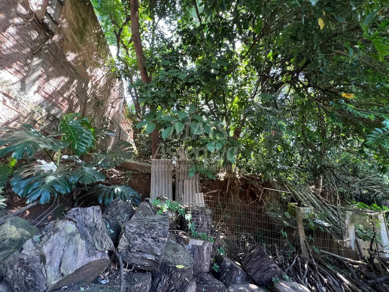 Imagem Terreno para Venda no bairro Santo Afonso em Novo Hamburgo