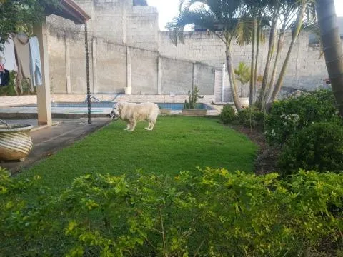 Imagem VENDA DE CASA CONDOMÍNIO IBIRAPITANGA A/T 800m² A/C 350m³ com 4 dormitórios sendo 2 suítes, lavabo, sala 3 ambientes, cozinha americana, piscina, chur