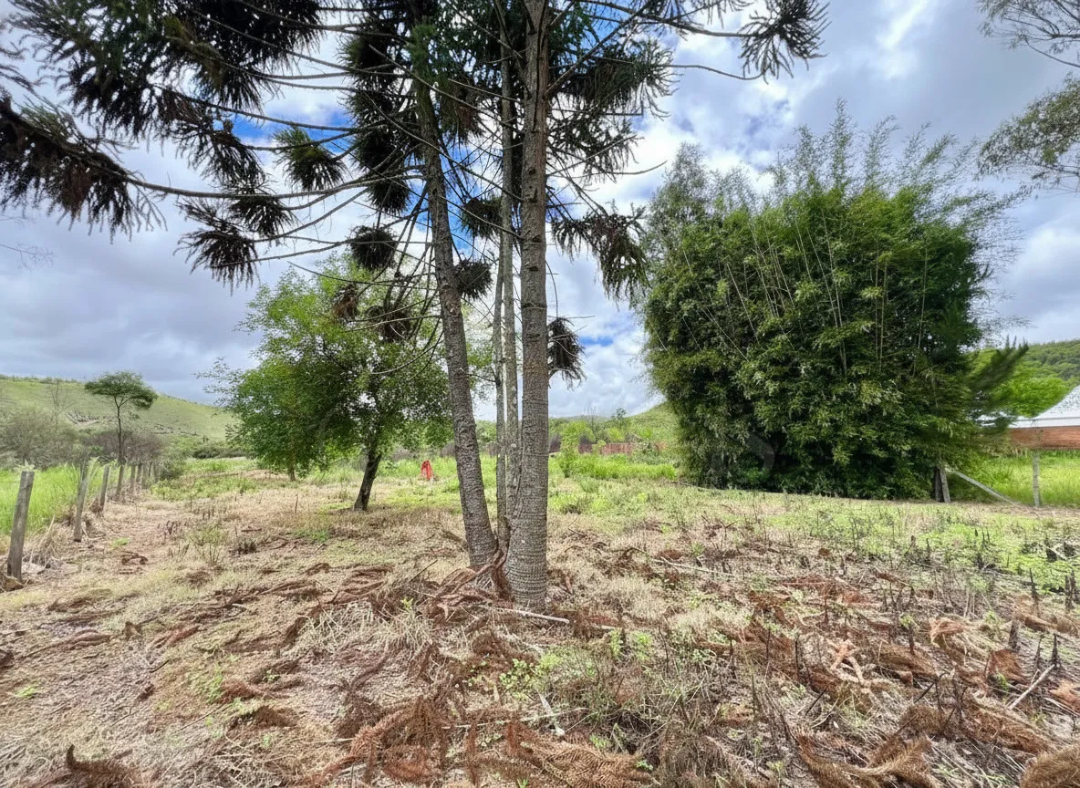 Imagem Chácara 50 m² à venda em Barreirinho, Andradas