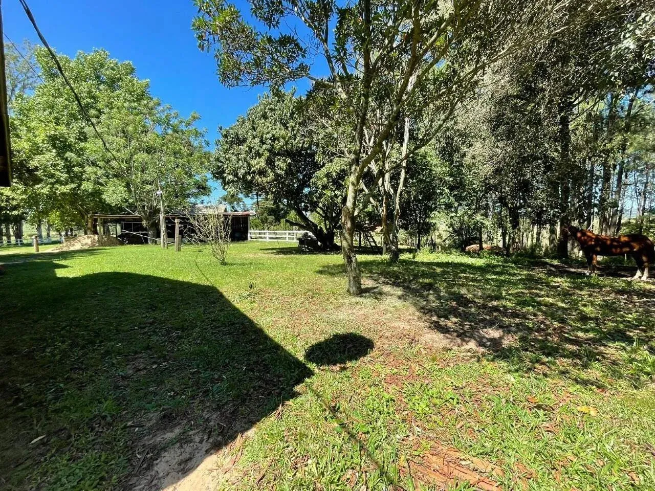 Imagem 90 Hectares de frente para o asfalto em Viamão