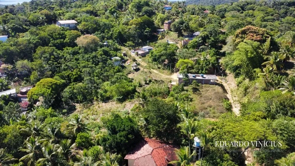 Foto do imóvel Terreno 6.400m² à venda - no Morro de São Paulo em Morro de São Paulo, Cairu - BA