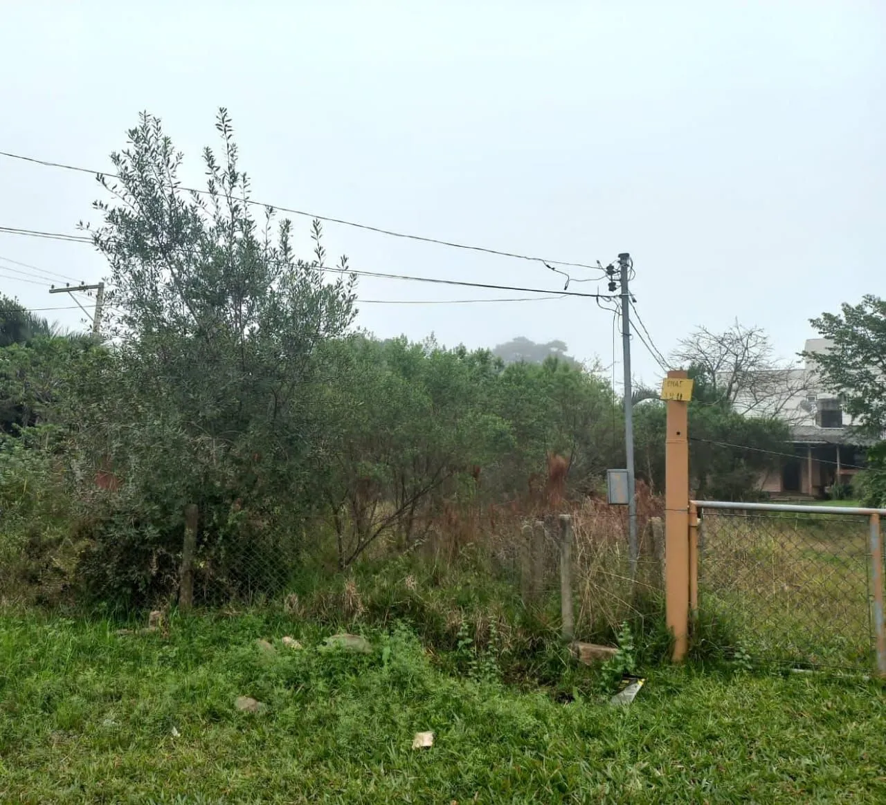 Imagem Terreno na Av. Edgar Pires de Castro - Bairro Hípica
