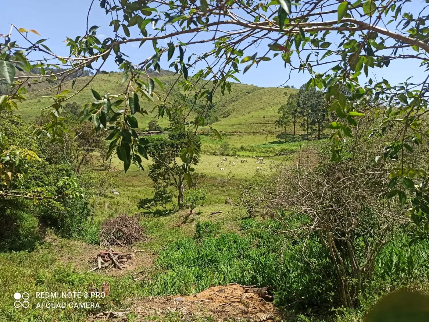 Imagem Chácara à venda 2 Quartos, 314600M², Pouso Frio, Pindamonhangaba - SP