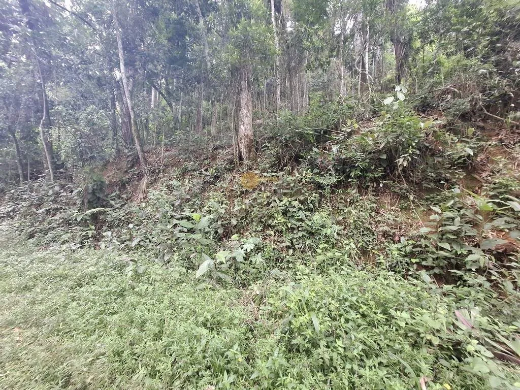 Imagem Terreno para Venda em Teresópolis / RJ no bairro Albuquerque