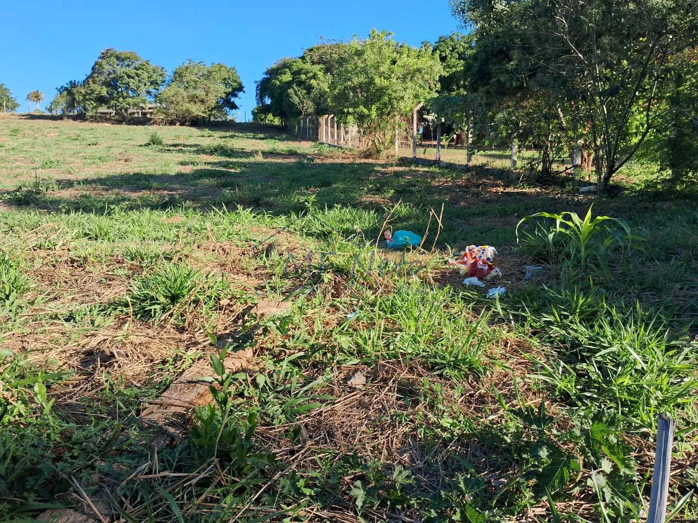 Imagem Chácara