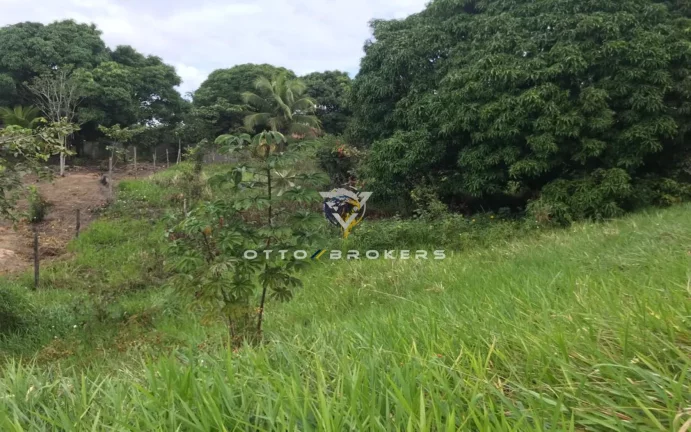 Imagem AREA RESIDENCIAL em SANTA CRUZ CABRÁLIA - BA, TÂNIA
