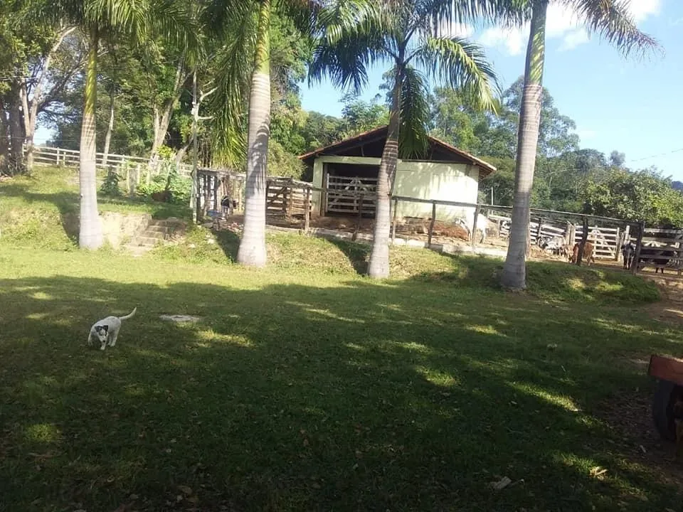 Imagem Terreno Espetacular à Venda em Carmópolis de Minas /MG 42 hectares de terra