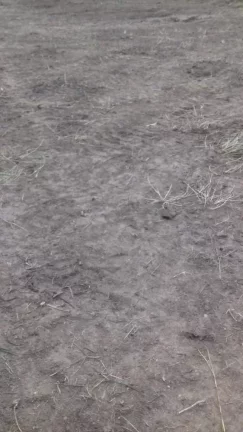 Imagem Terreno excelente a venda para Chácara com 8 mil m² no asfalto - em Quadra