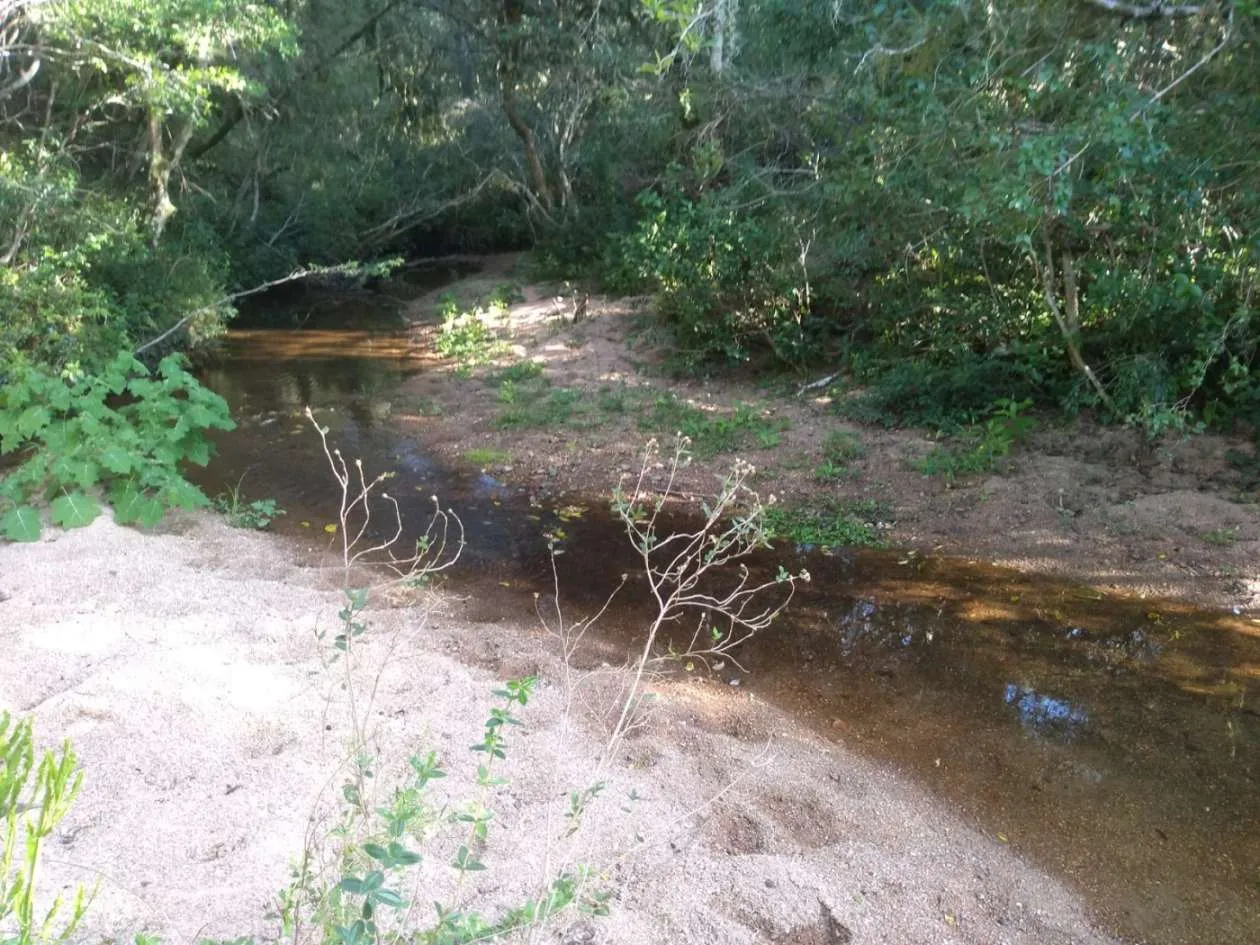 Imagem Sítio para Venda em Pedro Osório, Brasileiras