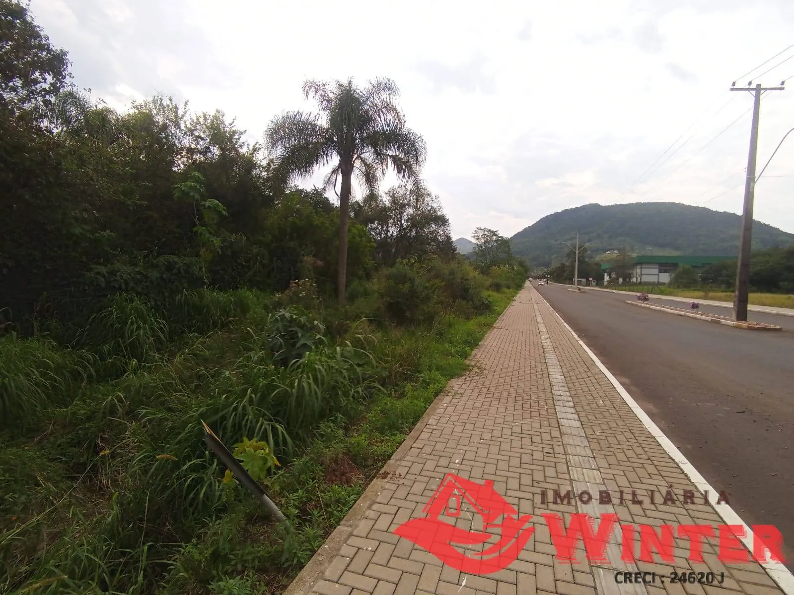 Imagem Área de terras com 20.000m2 no Vale Real