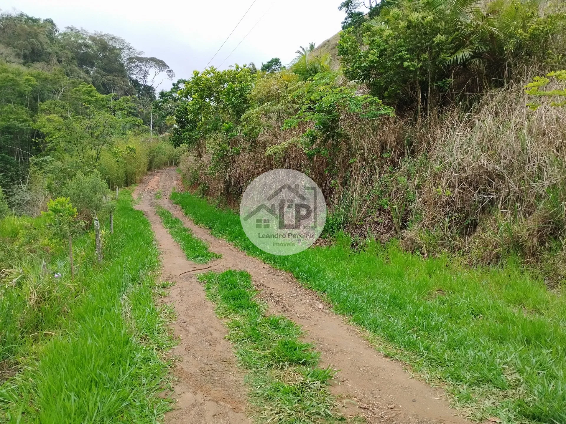 Imagem Lote/Terreno de 1460m² no bairro Caiçara, em Piraí