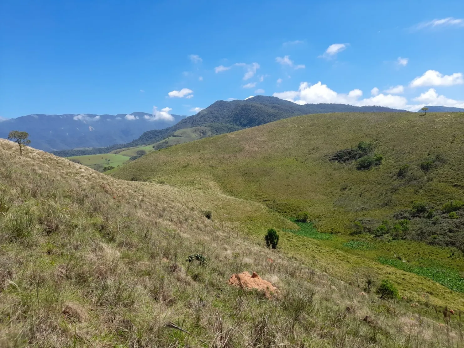 Imagem Chácara à venda 20000M², Mandú, Pindamonhangaba - SP