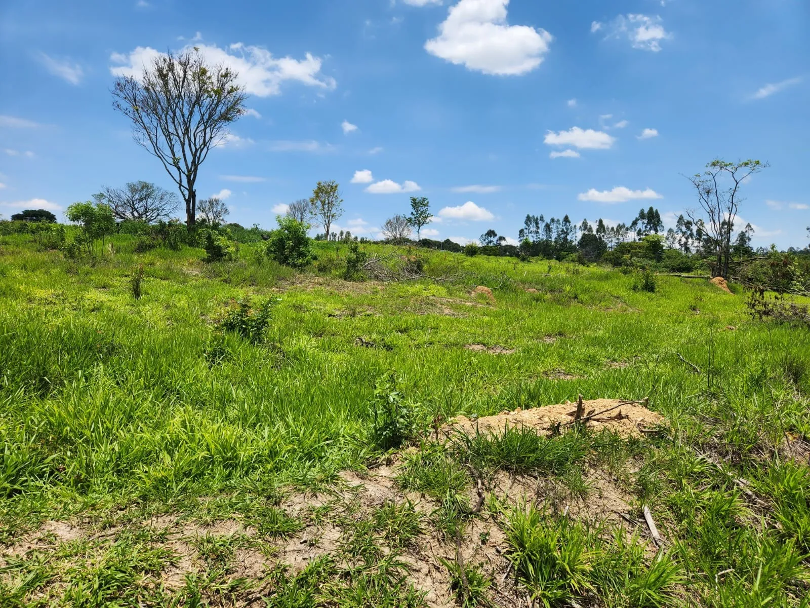 Imagem Terreno em loteamento em Araçoiaba